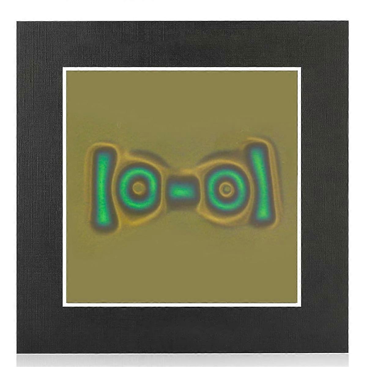 Magnetic Viewing Film, 4inchx 4inch Magnetic Field Viewer for Scientific Projects,Reusable and Automatic Recovery