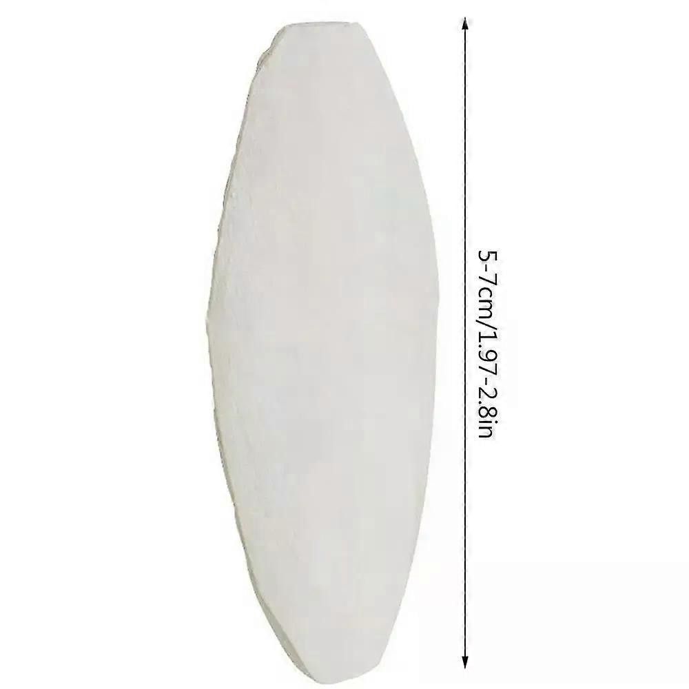 جديد 10 قطع / مجموعة الطيور ببغاء الحبار مضغ عظم الحبار للمناقير الحادة الحبار العظام للببغاوات الببغاء الكوكاتيل الخ