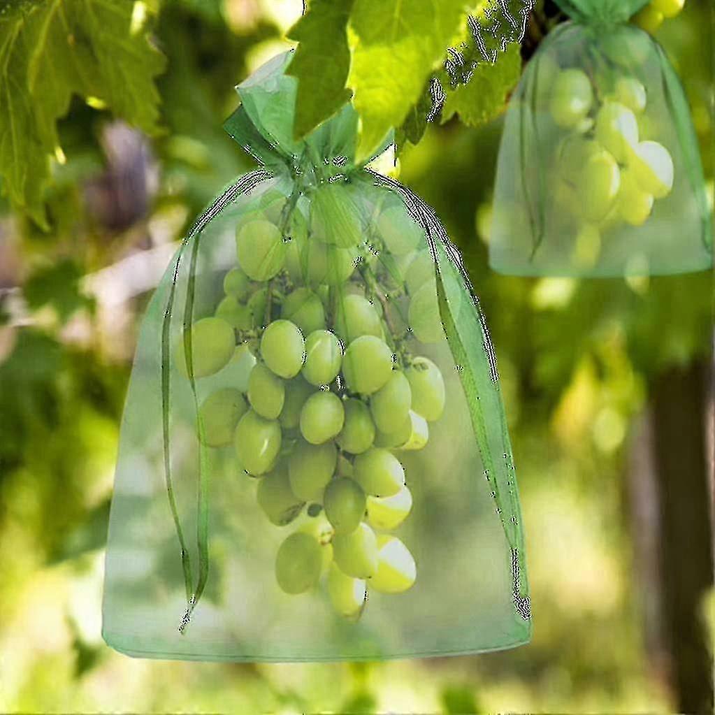 100 Mesh Bags for Fruit Protection, 30x20cm & 23x17cm, Reusable Drawstring Pouches Against Birds and Pests