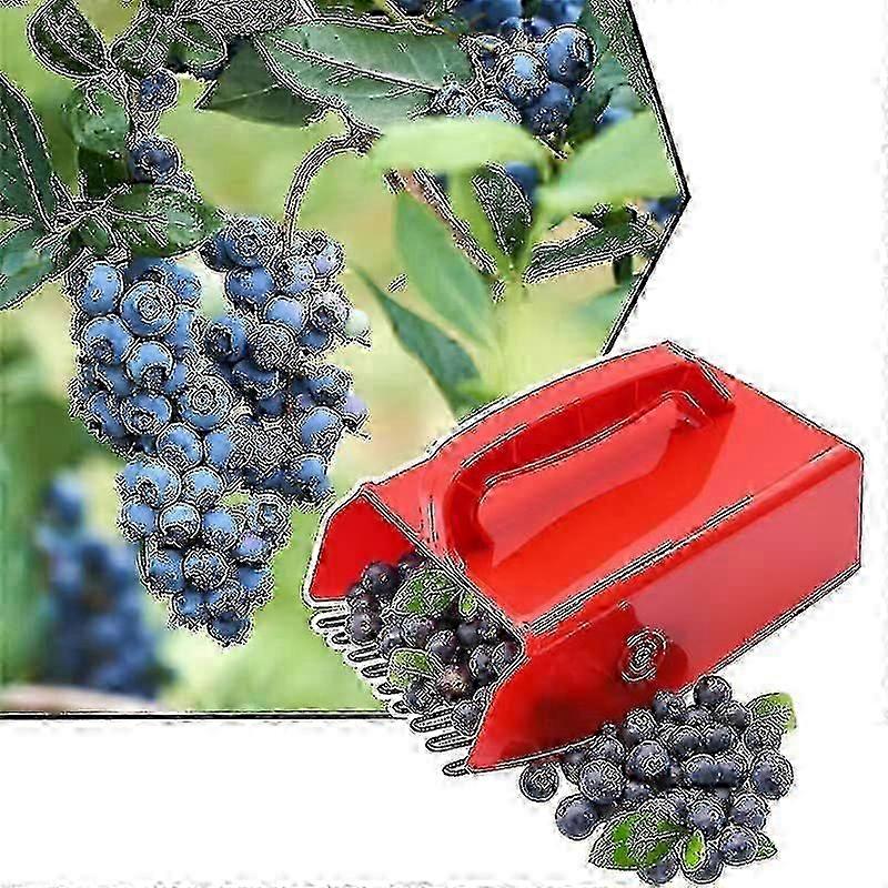 Berry Picker Berry Picker With Handle Blueberry Picker Garden Tools