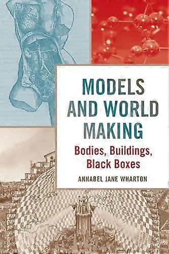 Models and World Making: Bodies Buildings Black Boxes