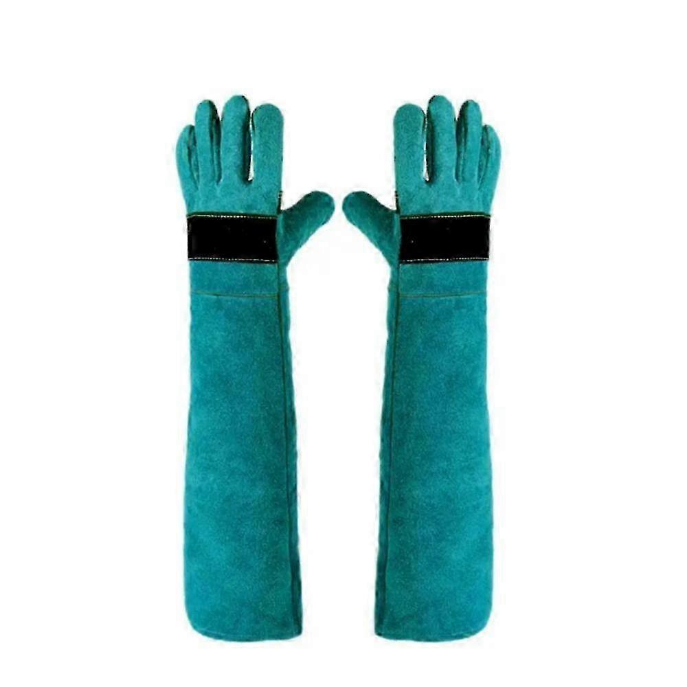 Bite-proof gloves for pet training - scratch-resistant protection