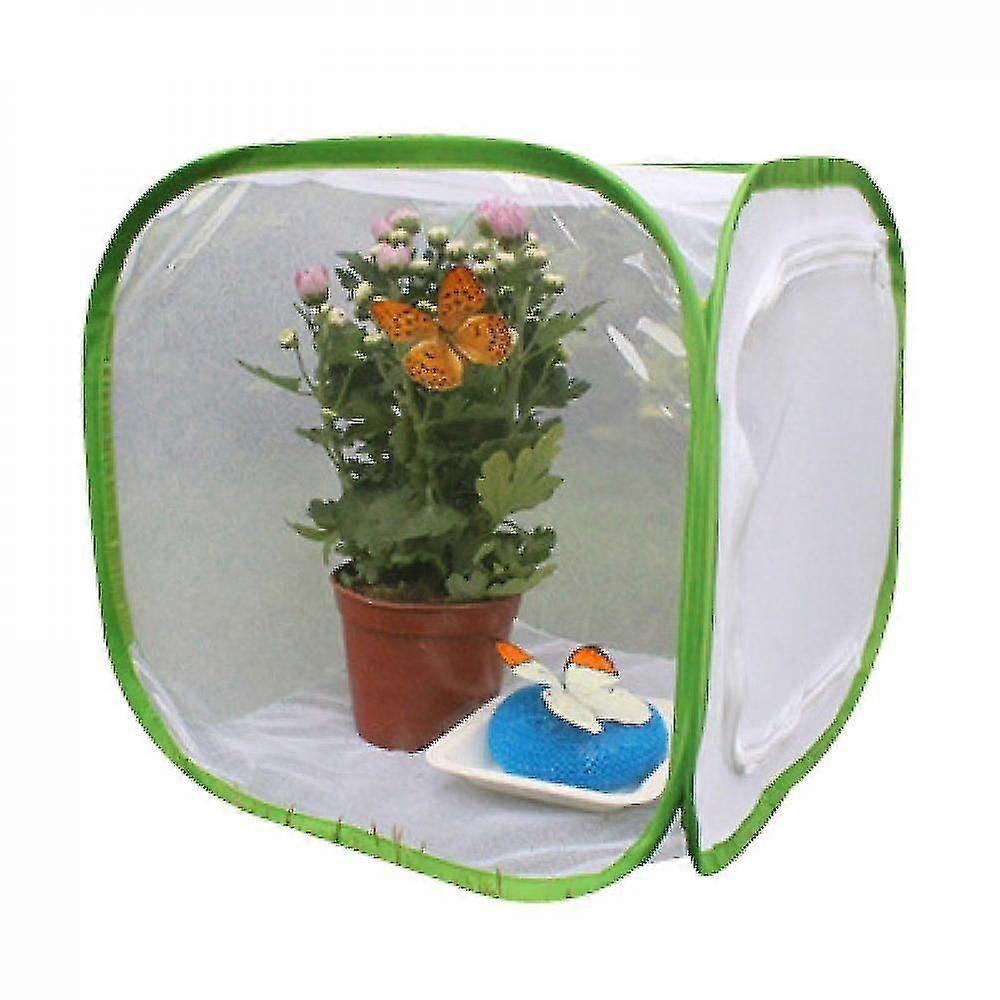 Foldable Insect Cage, Three Sizes