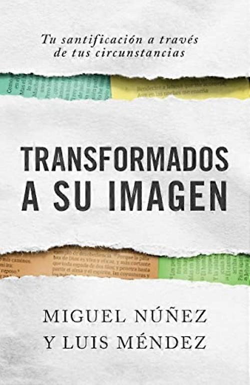 Consejeria Biblica