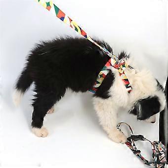 Pet cat and dog leash set, anti-breakage dog chain, adjustable cat and dog collar, orange, size S1392