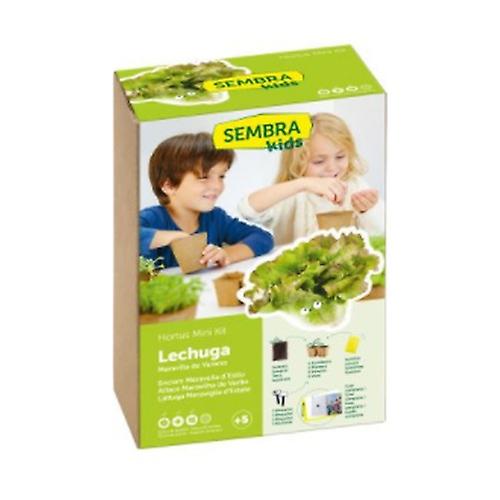 Summer Wonder Lettuce Seeds 1 unit