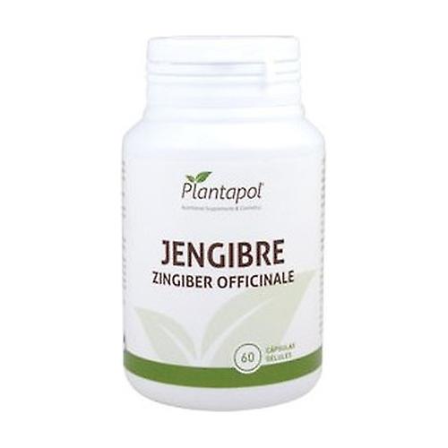 Ginger 60 capsules of 600mg