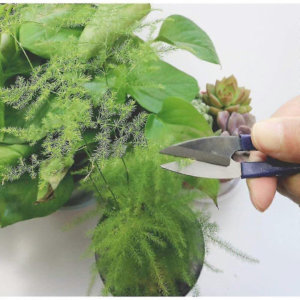 9 Pcs Bonsai Tools With Soil Moisture Meter, 3-in-1 Moisture Sensor