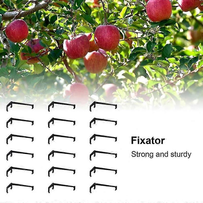 10pcs Branches d’arbres fruitiers Support Fruit Branch Spreader Tree Branch Support Frame Hfmqv