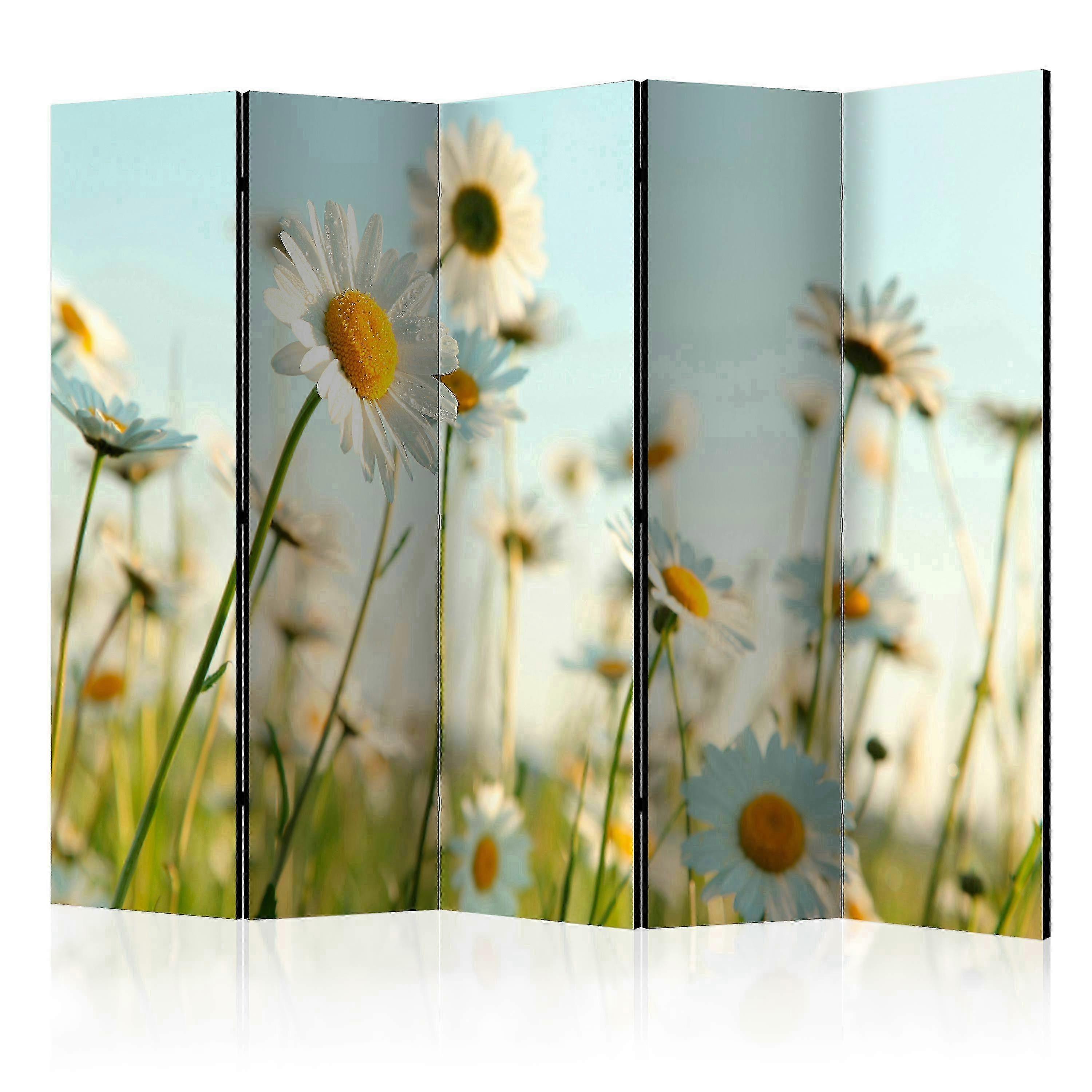 Scheidingswand - Madeliefjes - lenteweide II