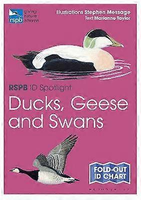 RSPB ID Spotlight - Patos, Gansos y Cisnes