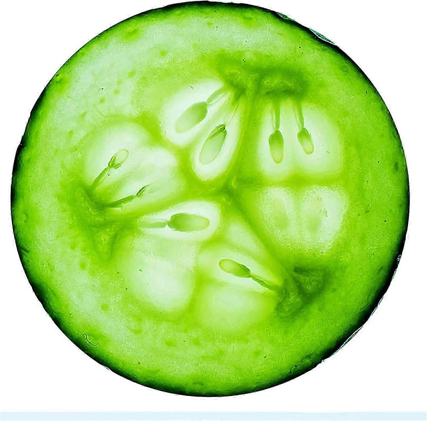 Flannel Fleece Blanket 3D Food Wrap Blanket Round Wrap Blanket Throw Blanket,Funny Realistic Food Round Blanket,31" Inch Cucumber
