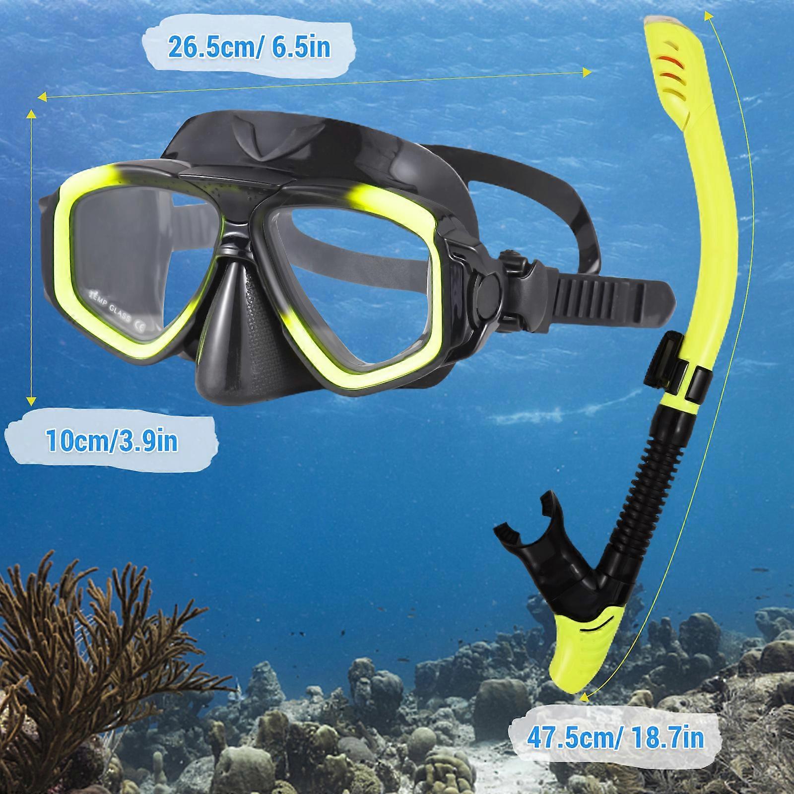 Adult Snorkel Set Anti-Fog Mask 16.5x10cm w/ Dry Top Tube 47.5cm