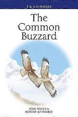 The Common Buzzard