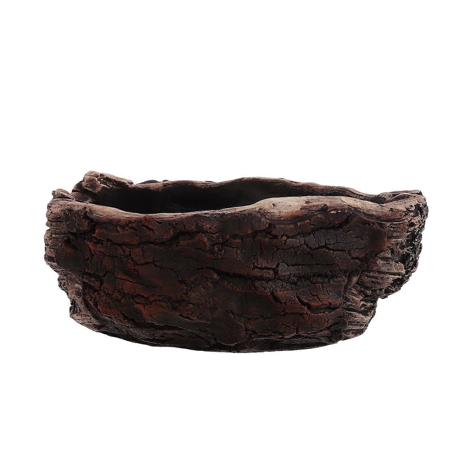 Unique Dark Brown Cement Succulent Flower Pot for Indoor Use