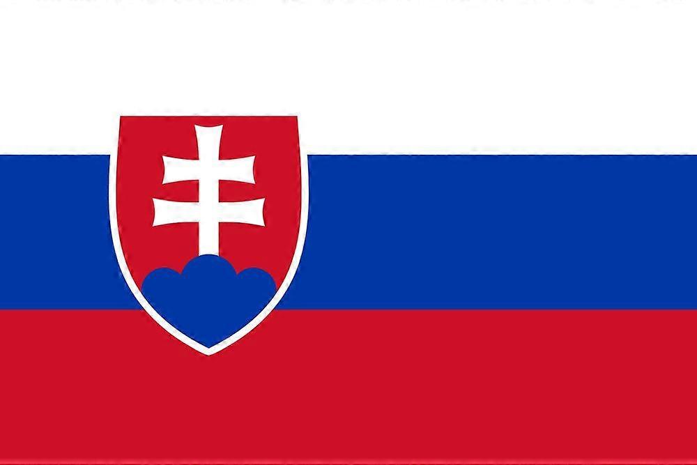 Slovakia Flag CU0285
