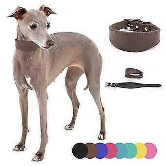 Soft Leather Dog Collar Adjustable Pet Collar for Walking Lurchers Sighthounds and Puppies Yellow Size S