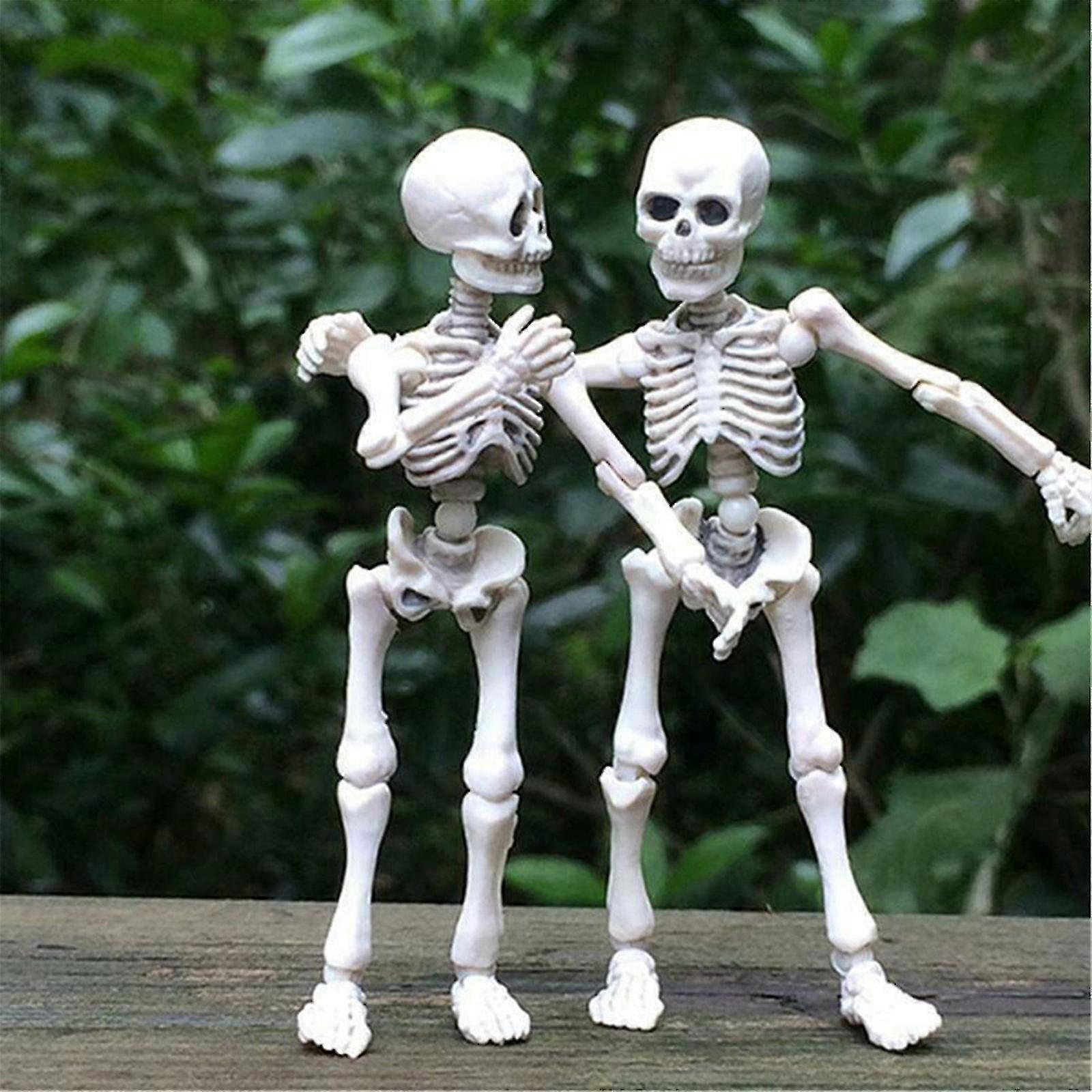 Halloween Decor Skeleton Man Skeleton Model Movable Figures