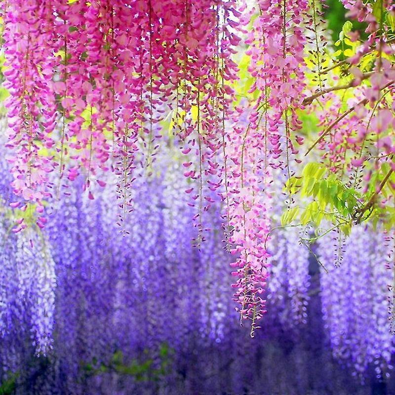 12pcs Wisteria Artificial Vines for Versatile Decor