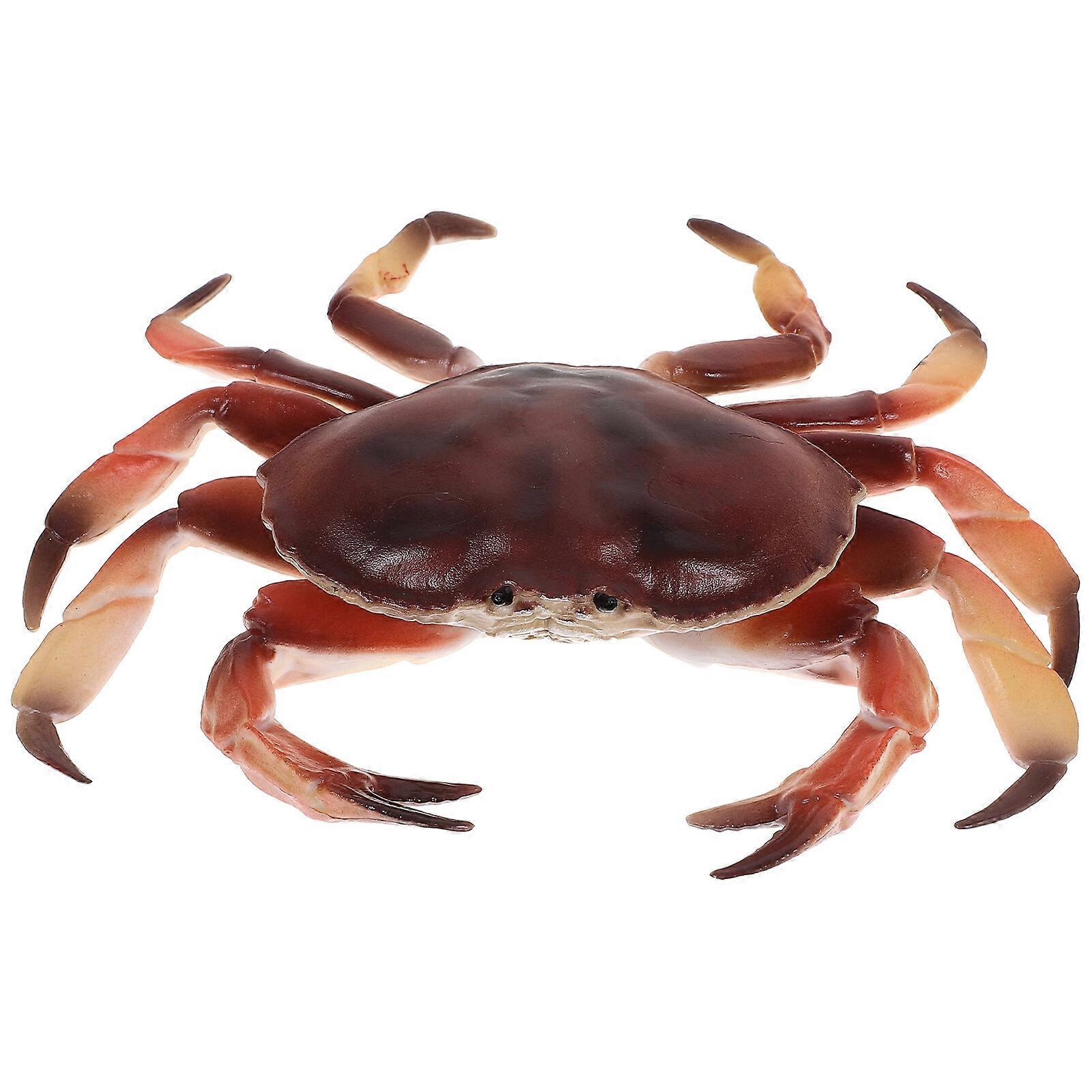 Realistic Simulation Crab Model Educational Plastic Simulated Crab Model Artificial Animal Model