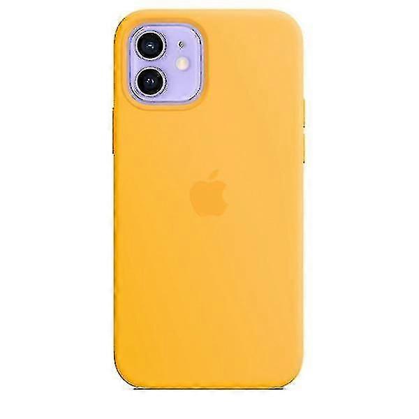 Silicone Phone Case With Magsafe For Iphone 12 & 12 Pro Boris