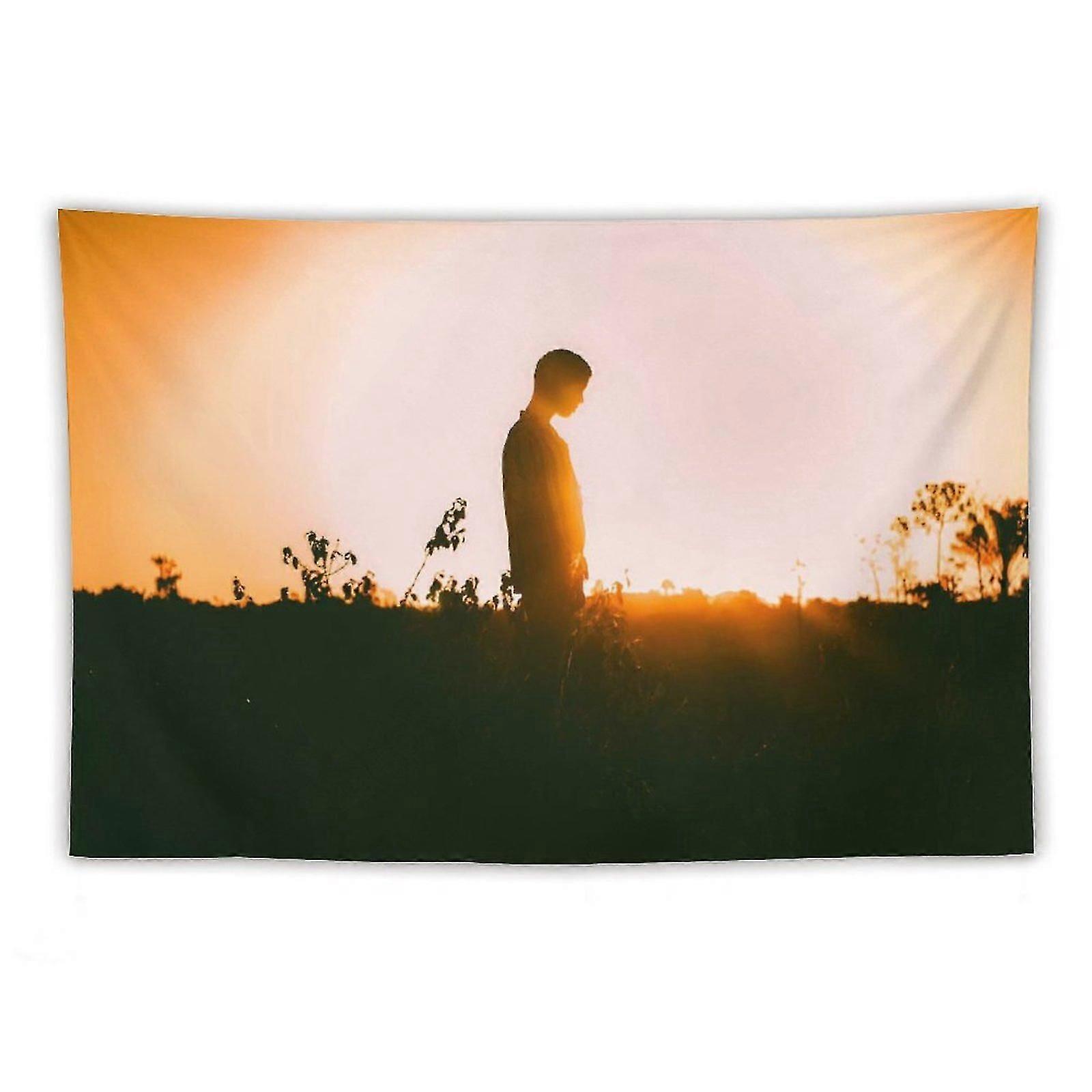 Man Standing On Field Tapestries