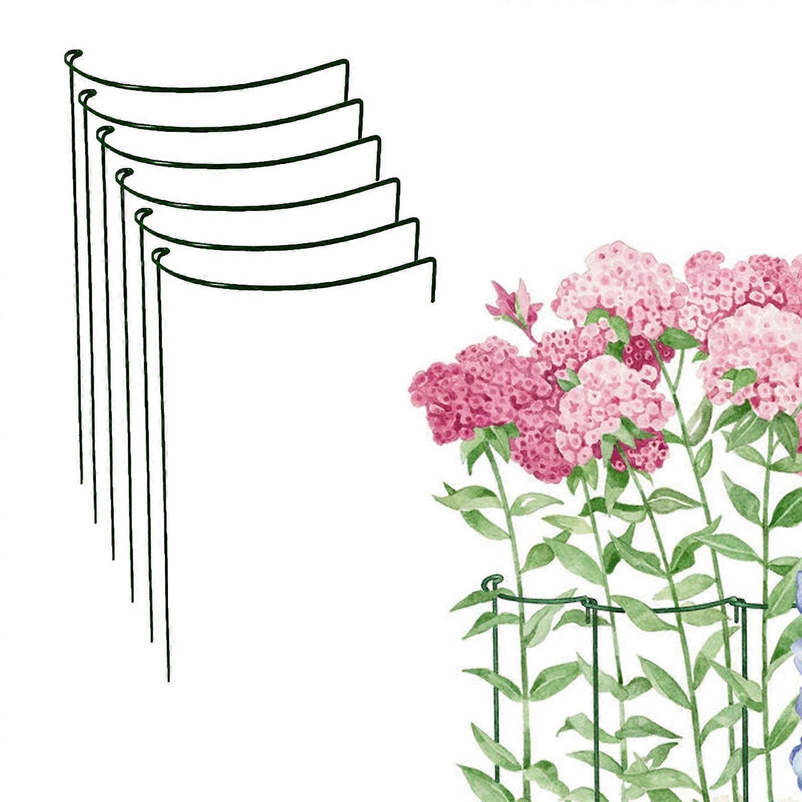 Plant Support Stakes 6 Pcs Metal Arc Garden Support Rings for Flowers Half Round Design Durable Plant Hoops