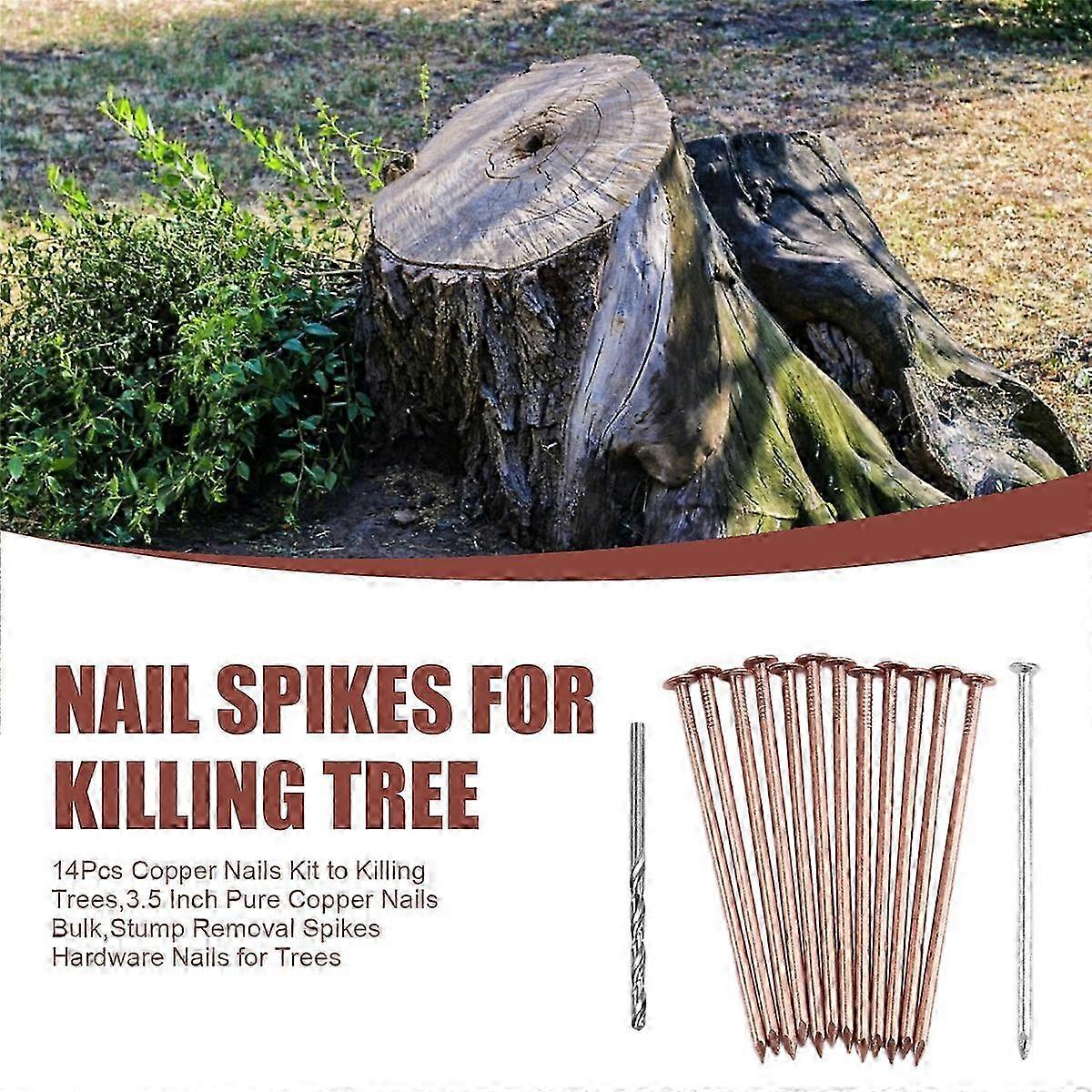 Copper Nails Kit for Killing Trees, 3.5 Inch Bulk Pure Copper Nails