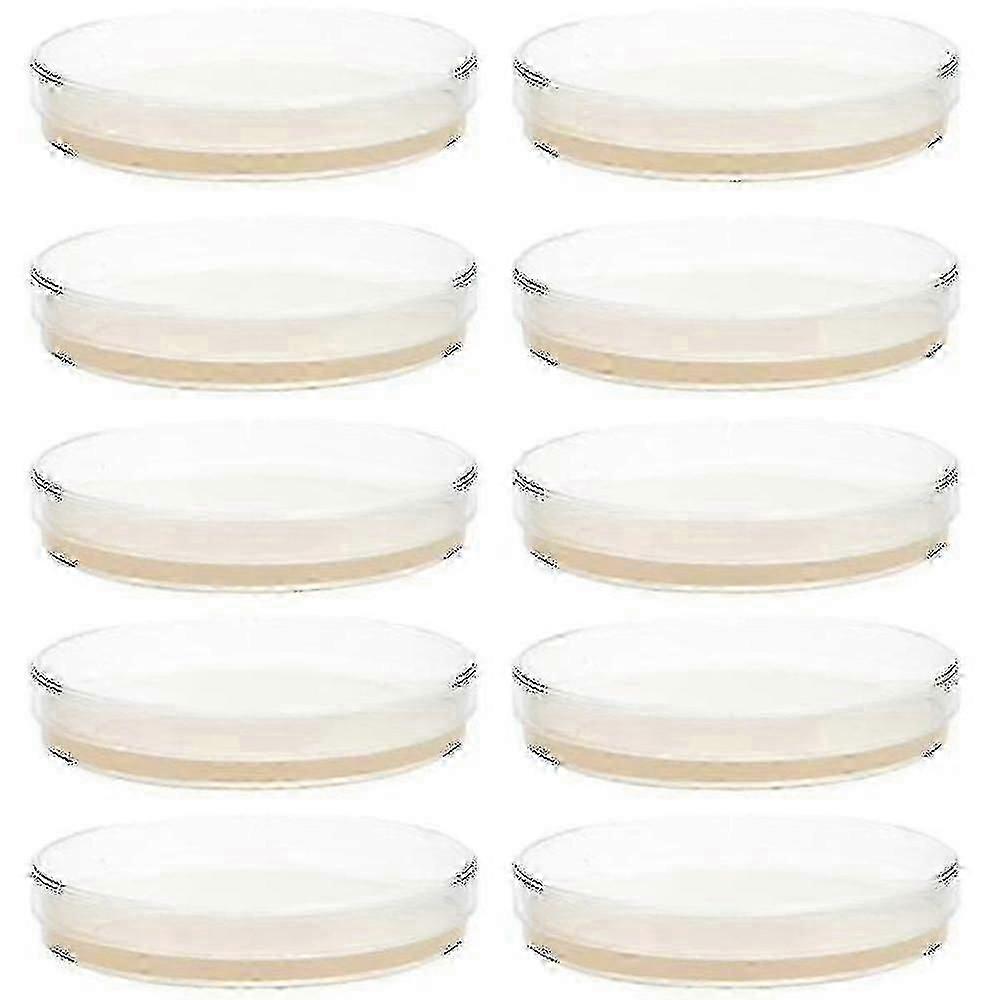 10kpl esikaadetut agar-lautaset Petri-astiat Agar Science Experiment -tarvikkeilla