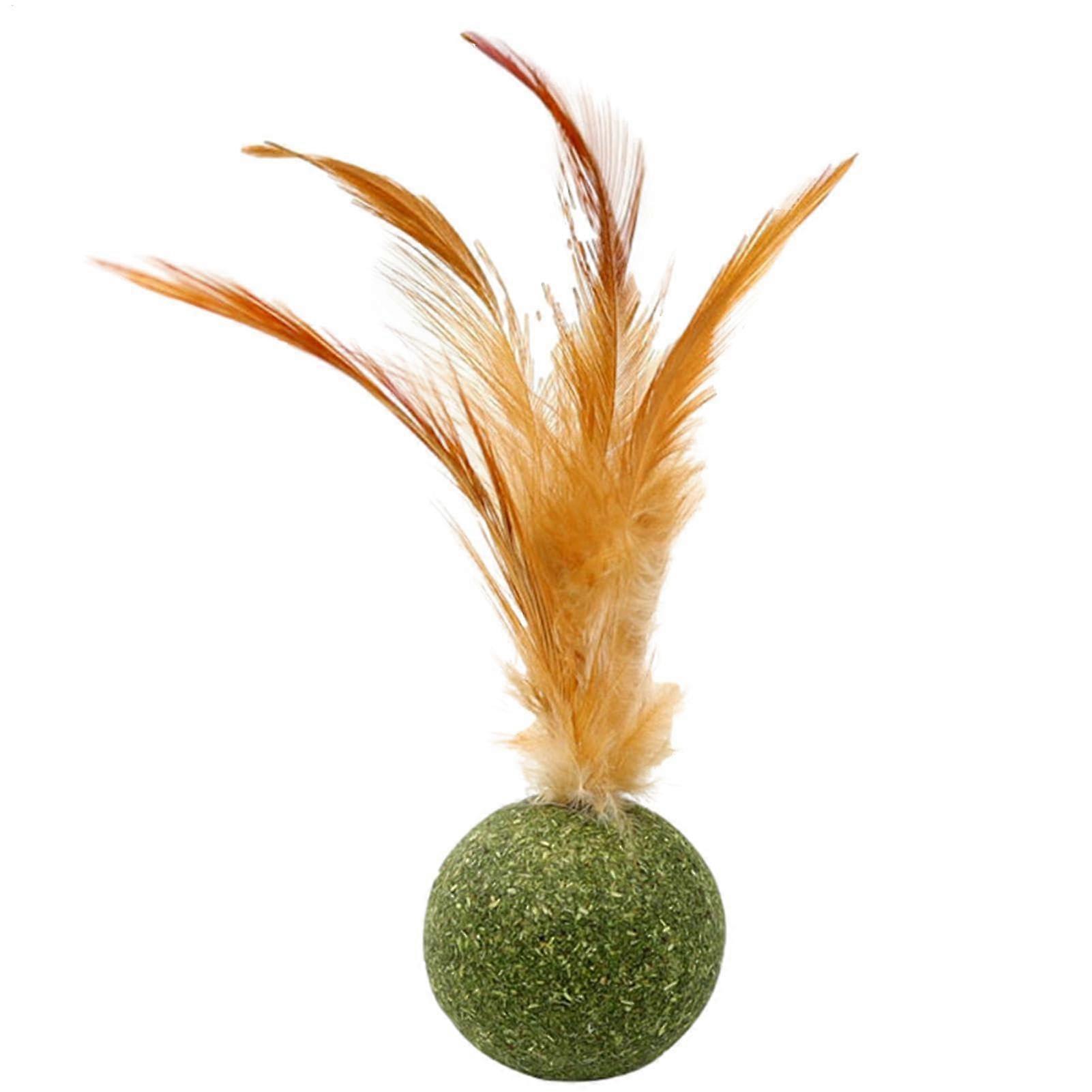 Catnip Ball Toy Kitten Chew Toy, Edible Catnip Feather Toy Safe Cat Toy