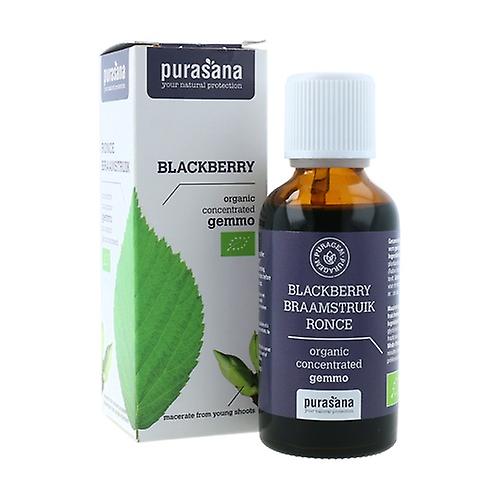 Blackberry 50 ml