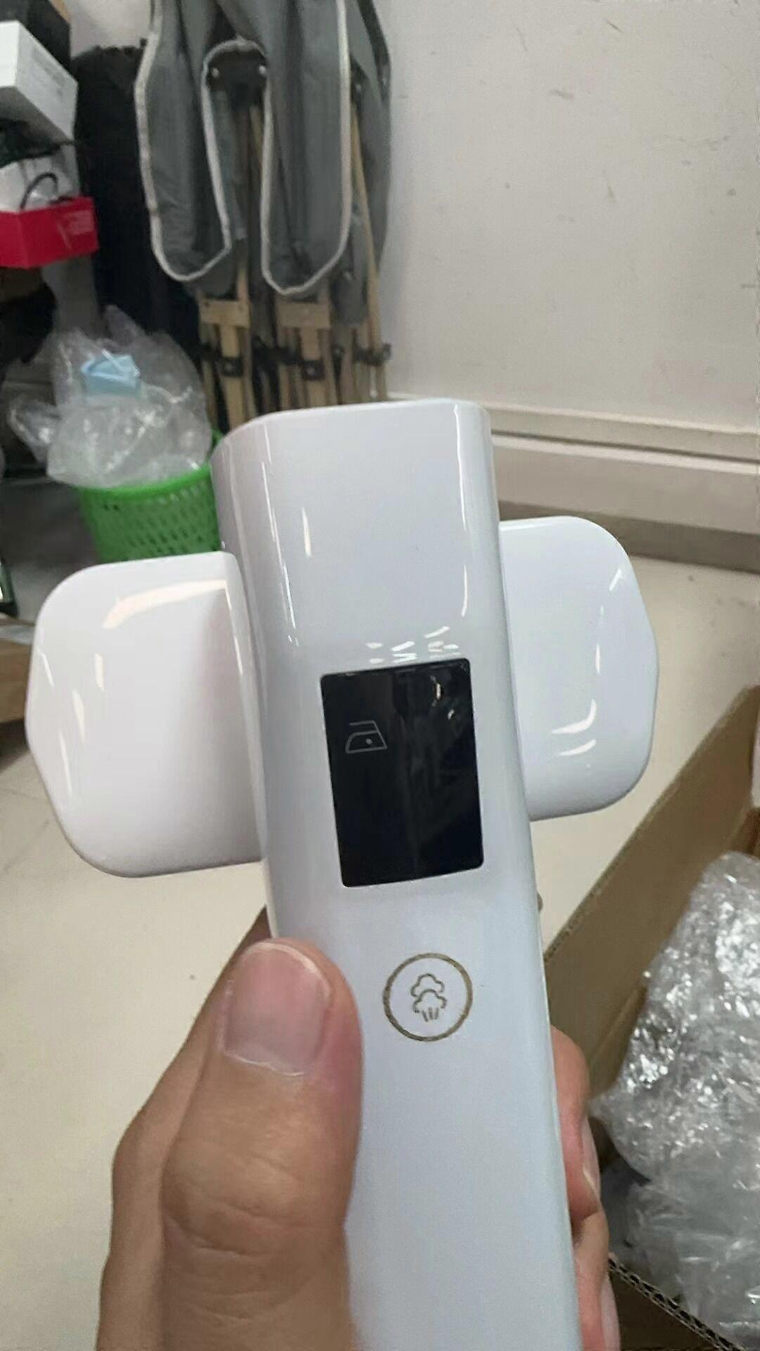 Garment Steamer US Standard