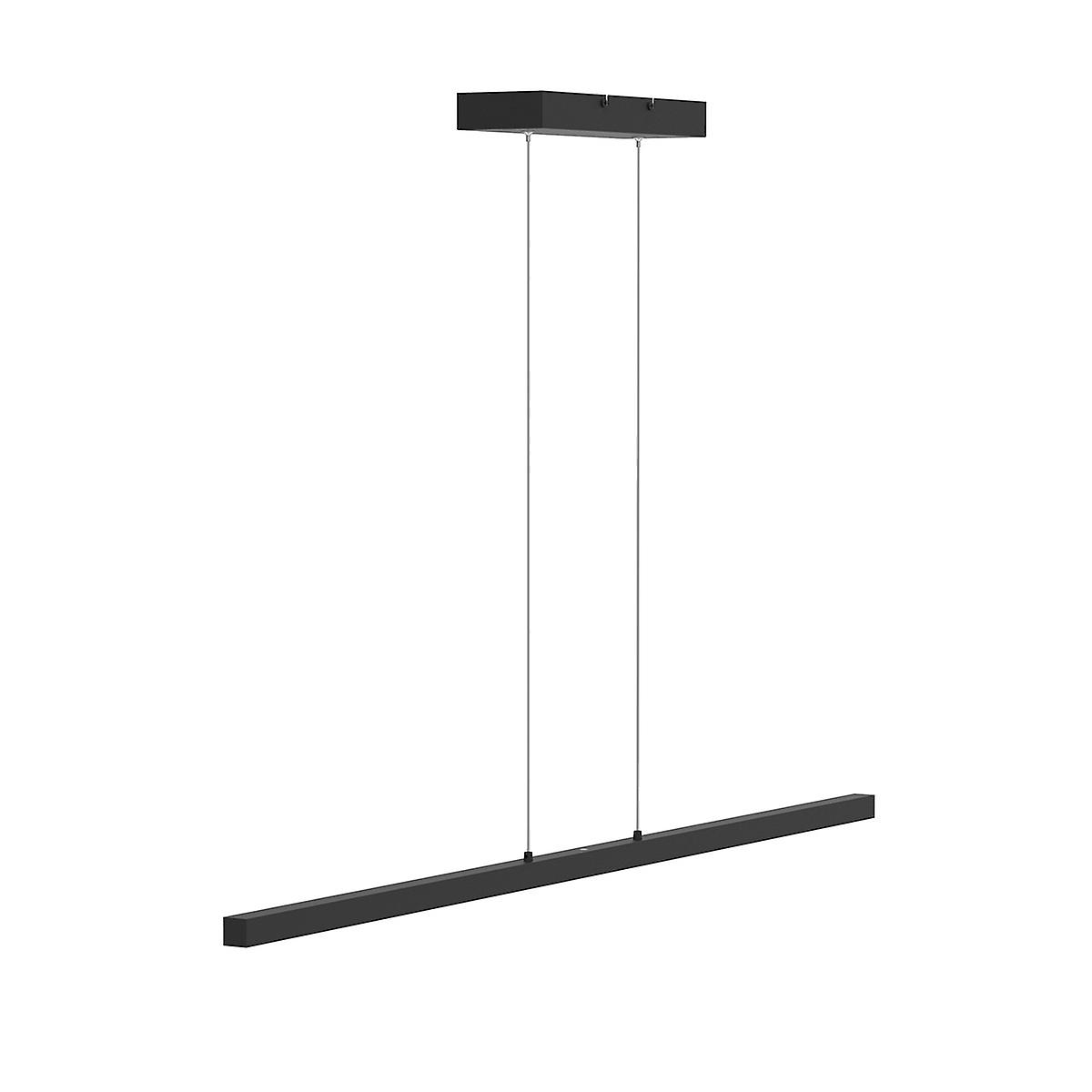Light Stripe Integrated Pendant Ceiling Light Light Matt Black