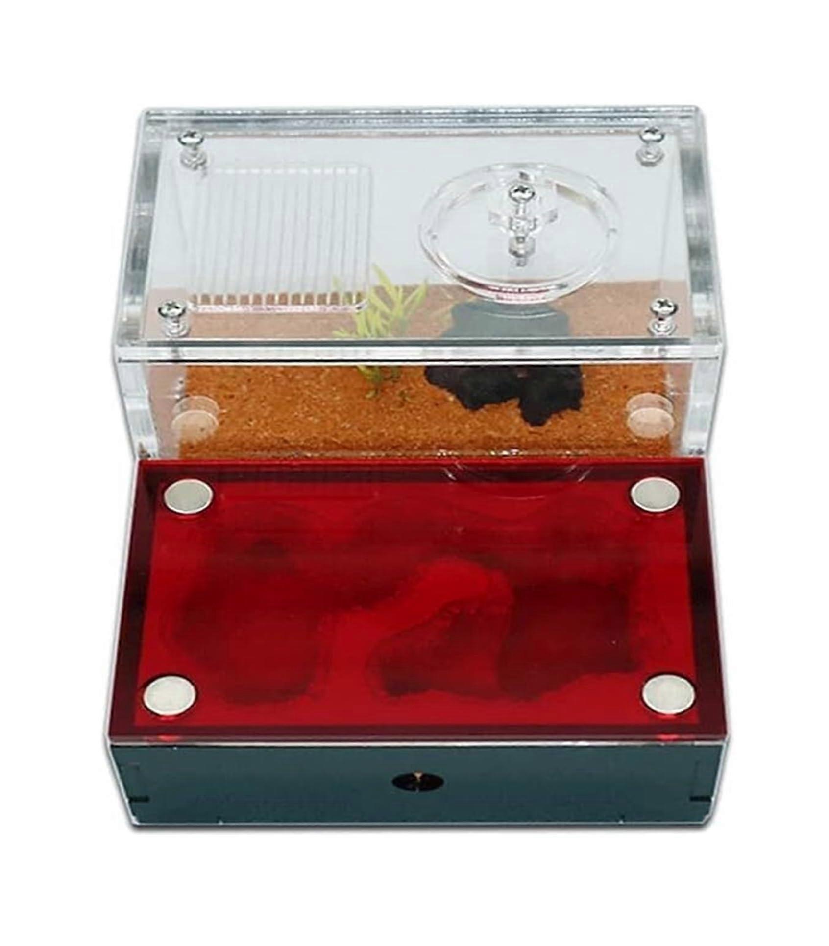 Transparent Acrylic Ant Farm with Clear Observation and Expandable Habitat System Educational Kit