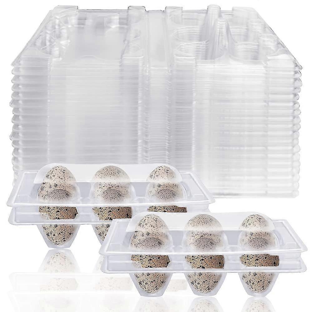 50 Reusable Transparent Quail Egg Cartons