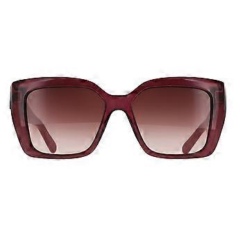 Salvatore Ferragamo solbriller SF1042S 525 gjennomsiktige syklamen brune grader