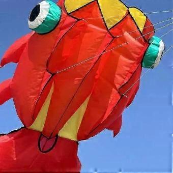 10m Tail Goldfish Soft Kite Set