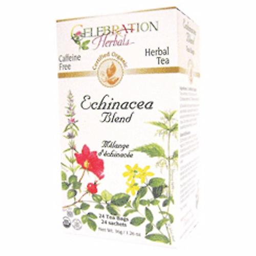 Celebration Herbals 有机紫锥菊混合茶，24 袋（1 包）