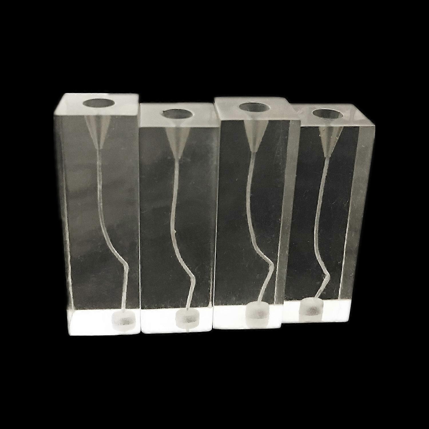 Dental Root Canal Practice Blocks Double Curved Enlarged Filling Study Model