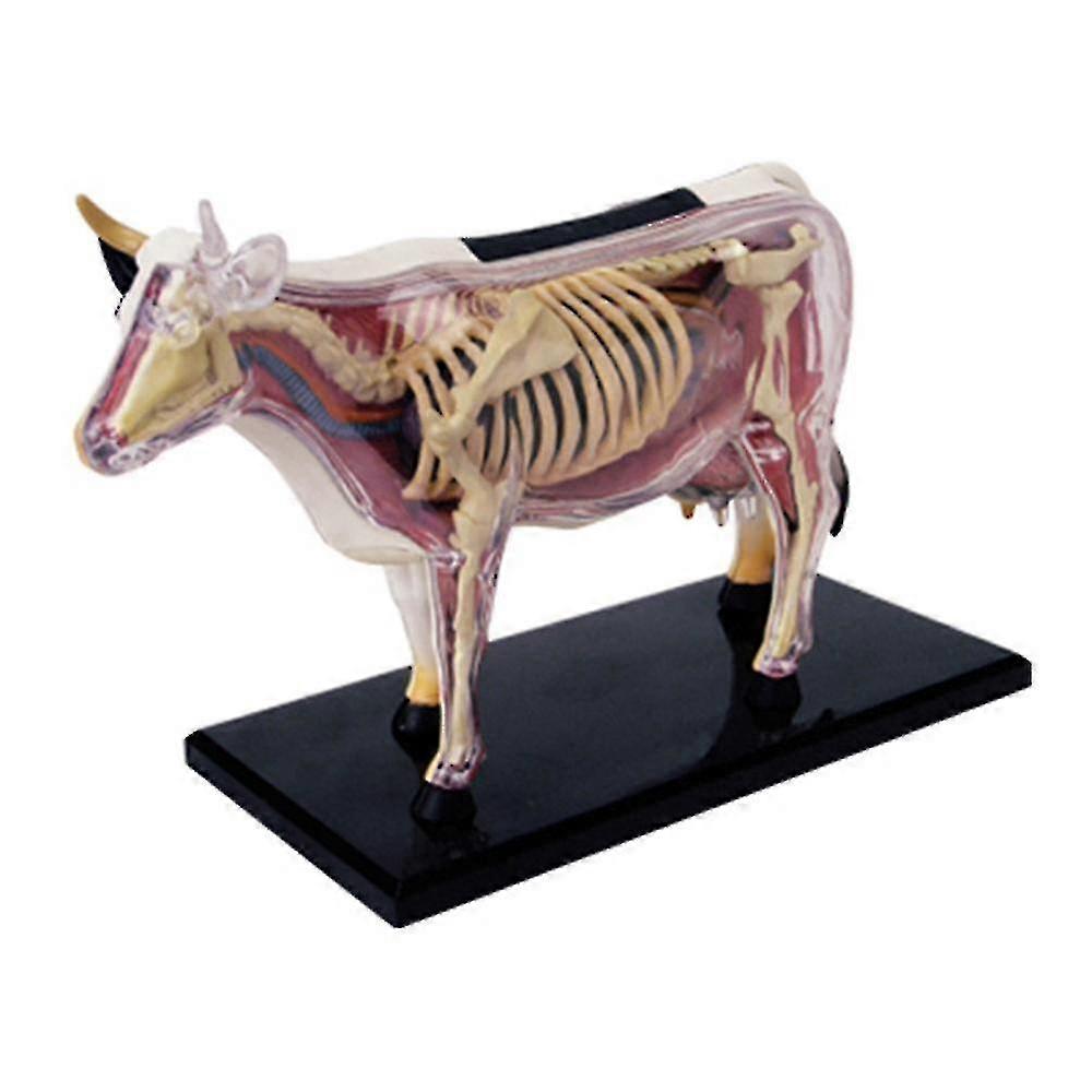 Anatomie zvířecích orgánů Model 4D Inteligence krávy Montáž hračky Výuka anatomie Model DIY Přístroje