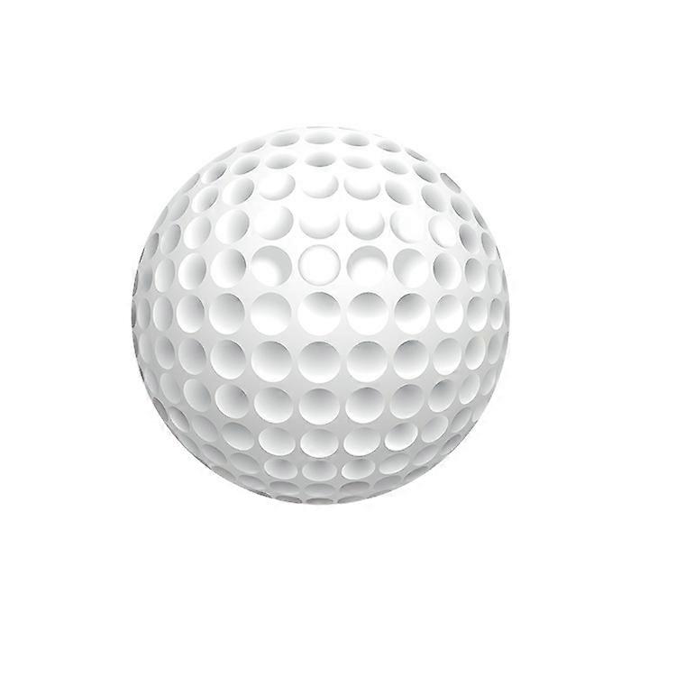 GOLF Bola de Práctica de Golf Doble Capa 10 Piezas Blanco