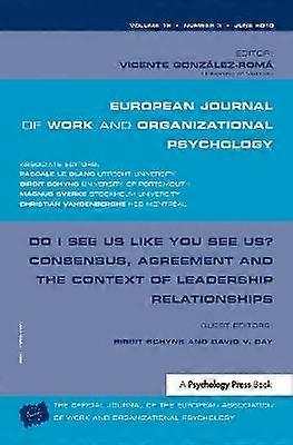 Do I See Us Like You See Us? Consensus Agreement and the Context of Leadership Relationships