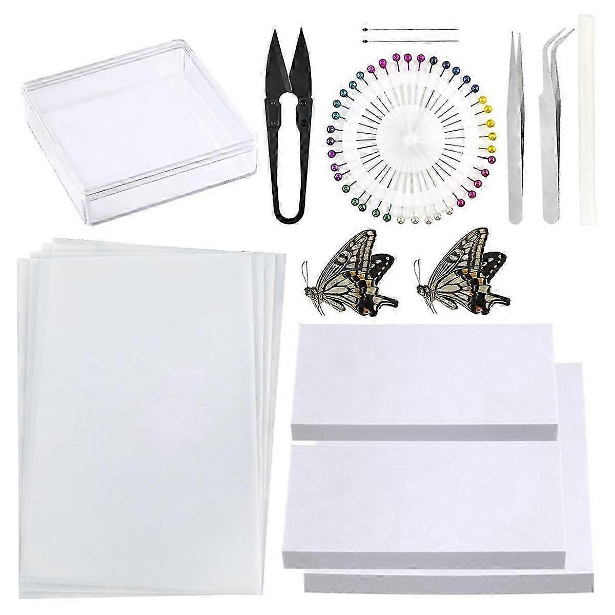 "Insect Specimenmaking Tool Kit, Suitable compatible with Insect Lovers' Biology Project Classroom"