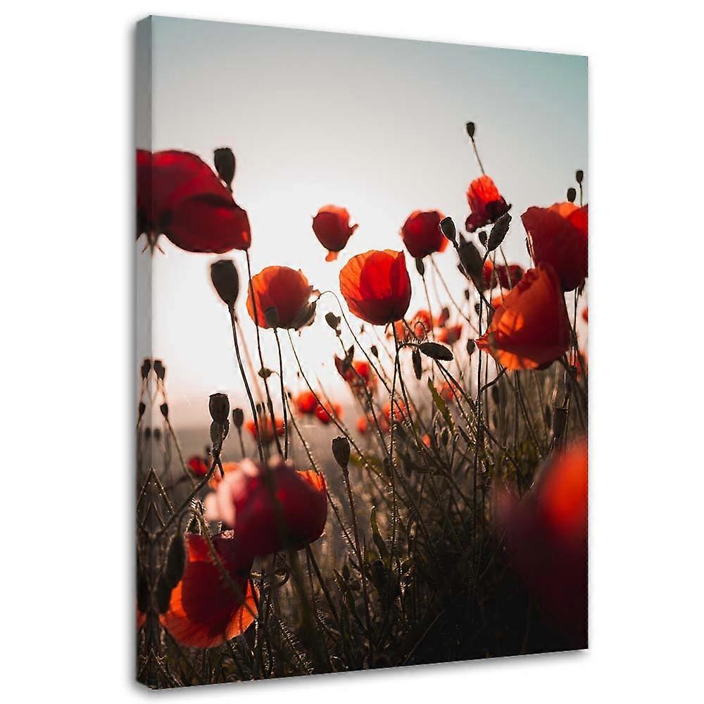 Impression sur toile, Coquelicots au soleil - 70x100