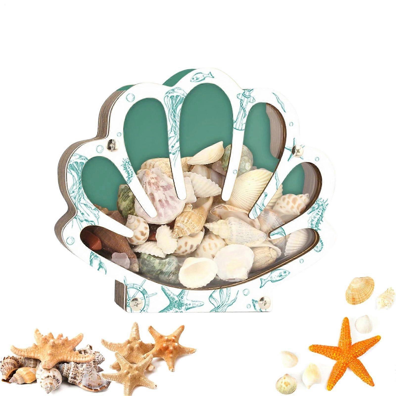 Shell Display Case Clear Portable Wooden Holder for Home Decor, Beach