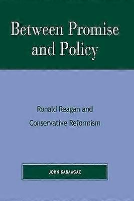 Between Promise and Policy