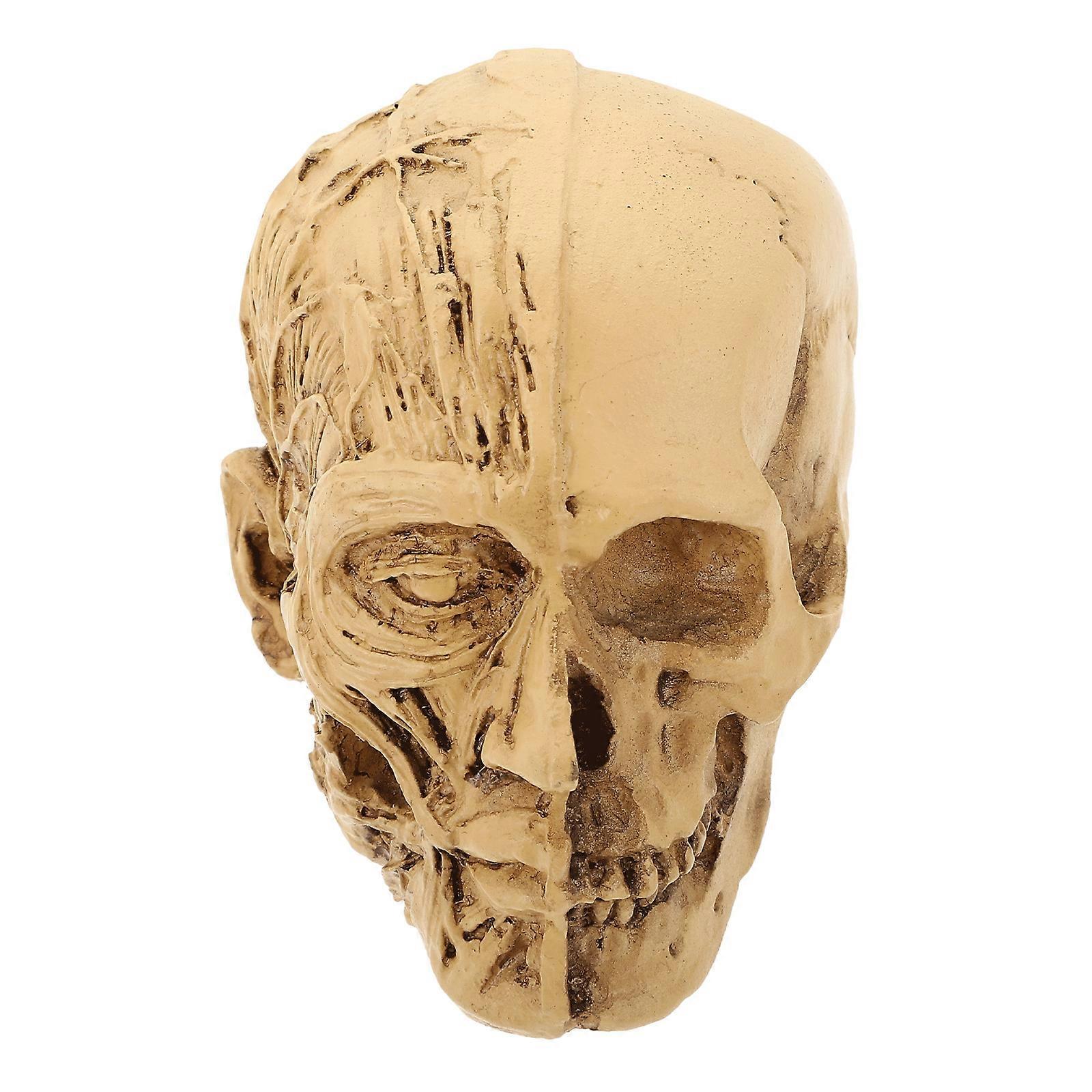 Spooky Halloween Skull Ornament 1Pcs Decorative Item For Home And Party Decoration In Compact Size Perfect For