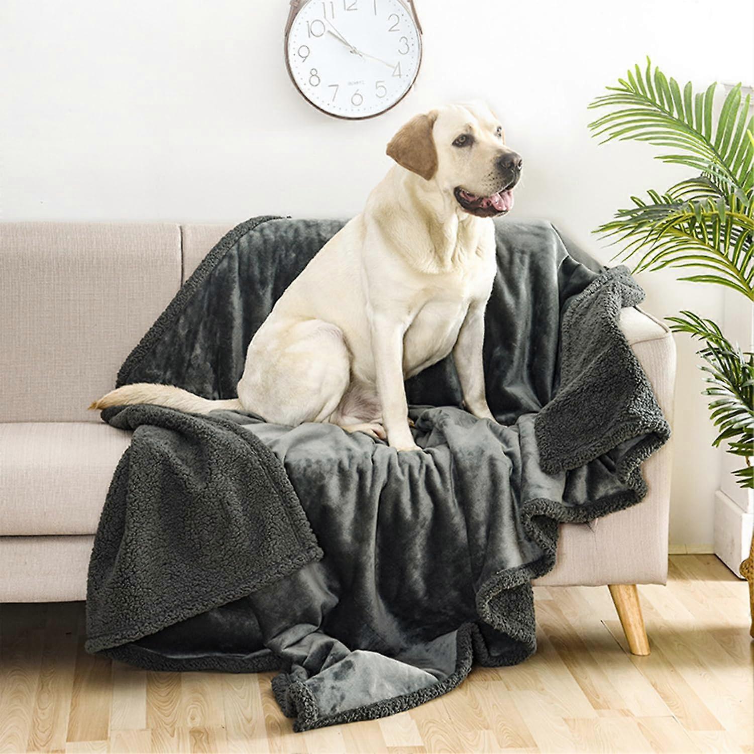 Large Waterproof Dog Blanket Size M 75x100cm Khaki
