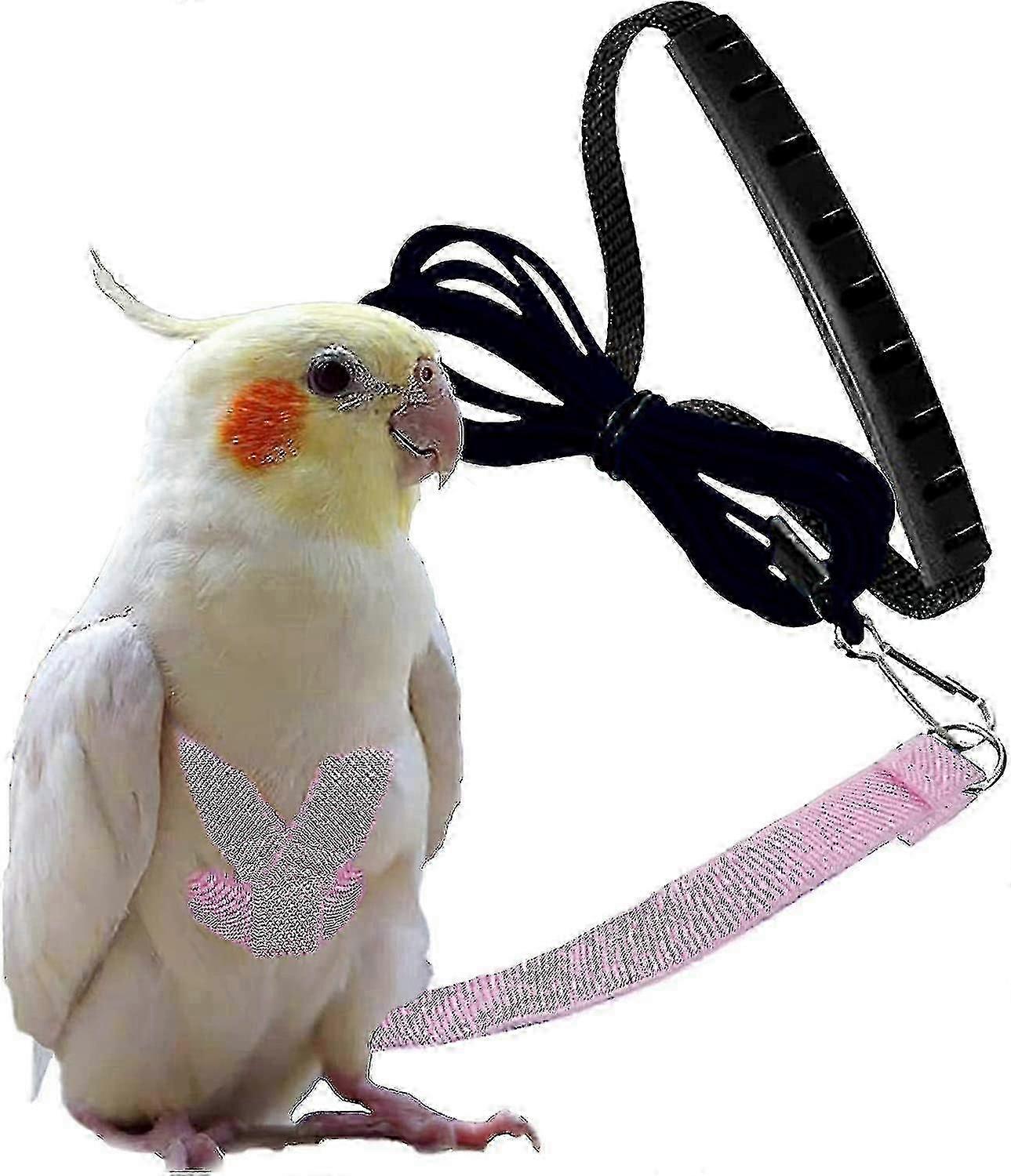 حزام طيور قابل للتعديل ومقود 80 بوصة للتدريب على الطيران في الهواء الطلق ، مناسب بشكل آمن للببغاوات الكوكاتيل