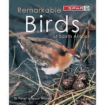 Opmerkelijke Vogels van Zuid-Afrika